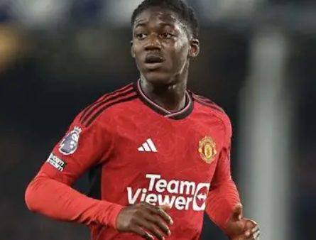 曼联名宿费迪南德深度剖析梅努去留：职业规划与现实考量